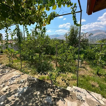 Mkj Apartment Gjirokaster