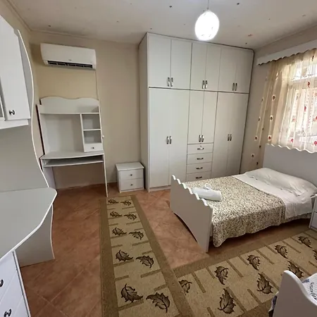 Mkj * Gjirokaster