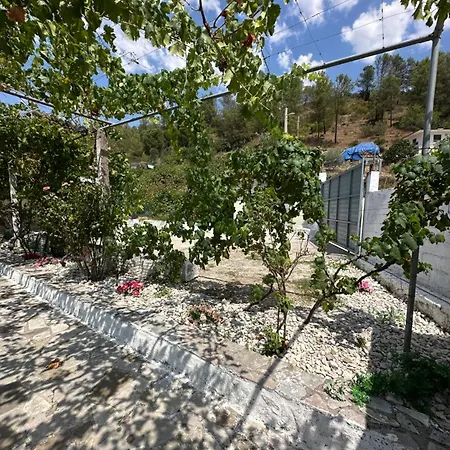 Mkj * Gjirokaster